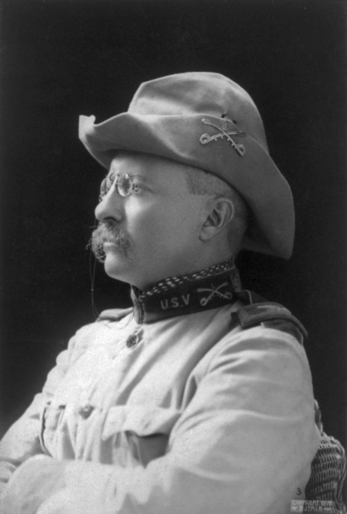 Teddy Roosevelt mustache